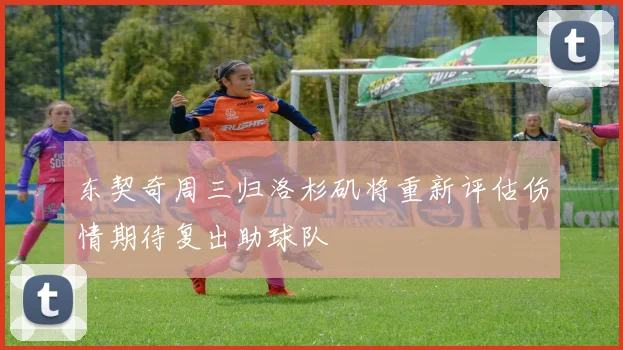 东契奇周三归洛杉矶将重新评估伤情期待复出助球队