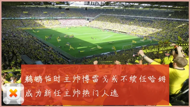 鹈鹕临时主帅博雷戈或不续任哈姆成为新任主帅热门人选