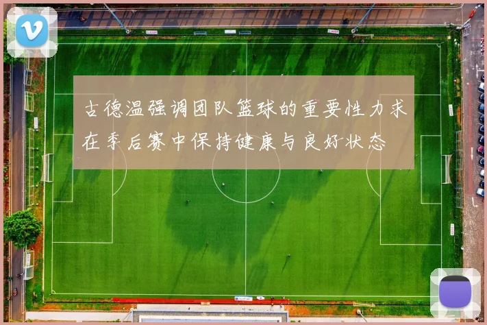 古德温强调团队篮球的重要性力求在季后赛中保持健康与良好状态